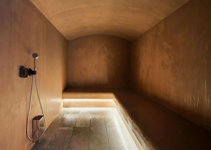 Lejlighed De Gamme Avec Acces A L'espace Bien-etre A 1850 - Fr-1-830-2 *