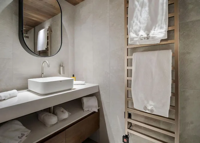 De Gamme Avec Acces A L'espace Bien-etre A 1850 - Fr-1-830-2 * Courchevel