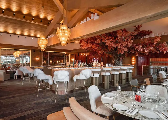 De Gamme Avec Acces A L'espace Bien-etre A 1850 - Fr-1-830-2 * Courchevel